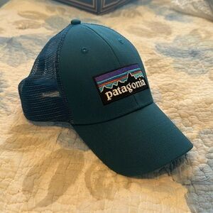 Blue Patagonia Trucker Hat